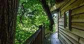 Treetop walkway