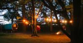 Copper beech glade camp in Yorkshire at night time with fairly lights wrapped in the trees