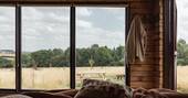 View from the bed