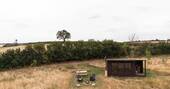 Exterior Hollow Oak