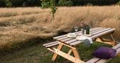 Picnic bench outside for outdoor dining