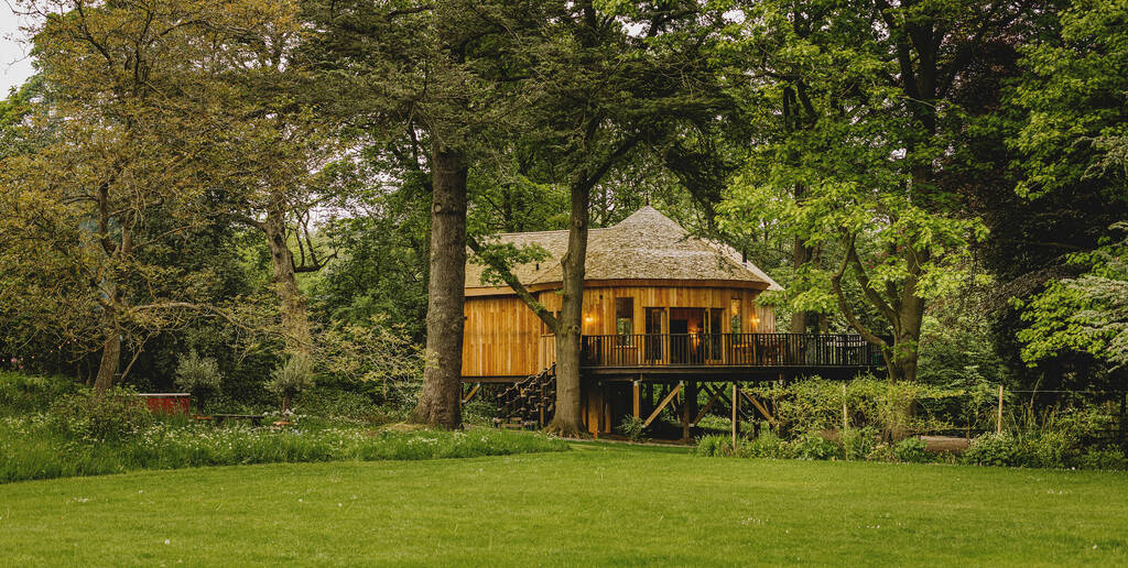 Cran Darach Treehouse Treehouse in Yorkshire Canopy & Stars
