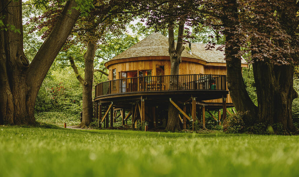 Cran Darach Treehouse Treehouse in Yorkshire Canopy & Stars