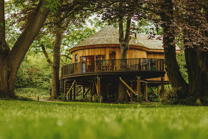 External view of treehouse