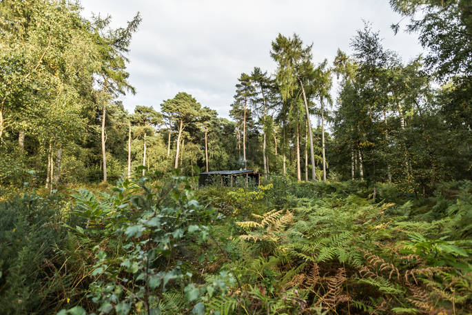 Atkinson Grimshaw cabin at North Star Club in Yorkshire, surrounded by forest