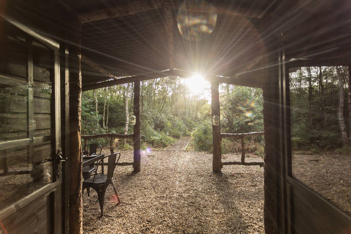 Sunlight filtering through the trees and into Whitby cabin at North Star Club in Yorkshire