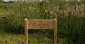 'Clover' sign