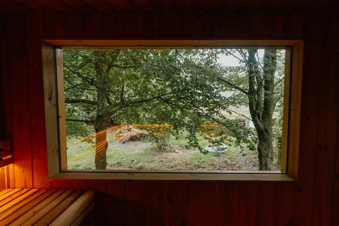 Sauna window