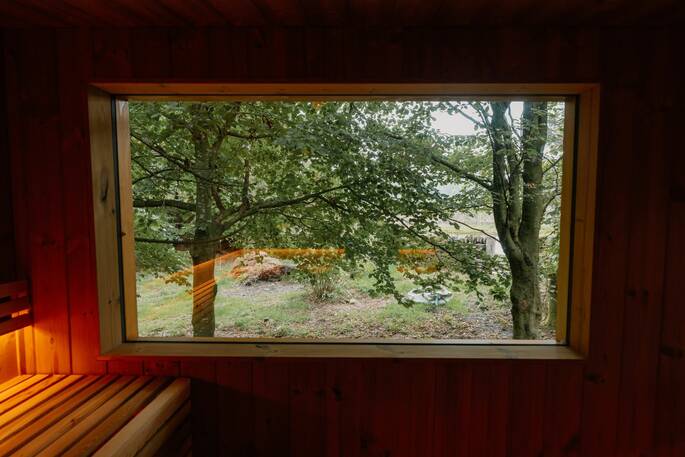 Sauna window