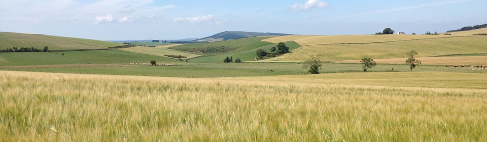 Boutique Farm Bothies