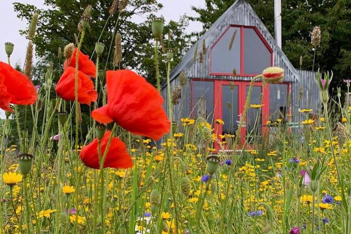 The Sheep Shed wild flowers, Boutique Farm Bothies at Huntly, Aberdeenshire