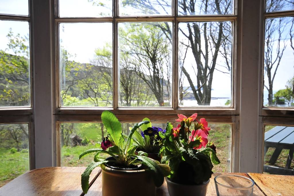 Kittiwake Cabin in Argyll & Bute Canopy & Stars
