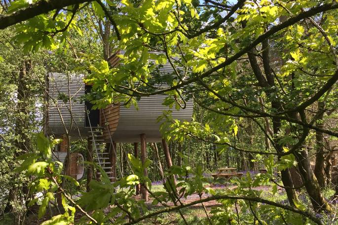 View of Treehouse through trees at Brockloch Treehouse, Dumfries and Galloway