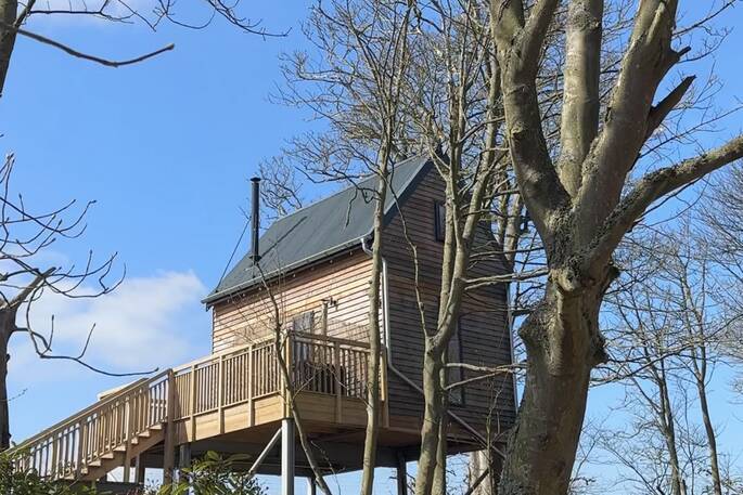 Stairs leading up to treehouse