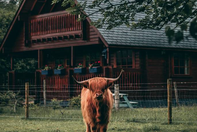 Eagle Lodge | Cabin in Highland | Canopy & Stars