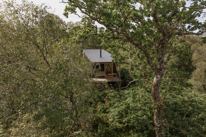 Bothy Doire within the trees