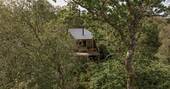 Bothy Doire within the trees