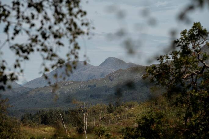 Mountains nearby