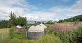 Bramble Yurt at Alexander House, Auchterarder, Perth & Kinross, Scotland (18)