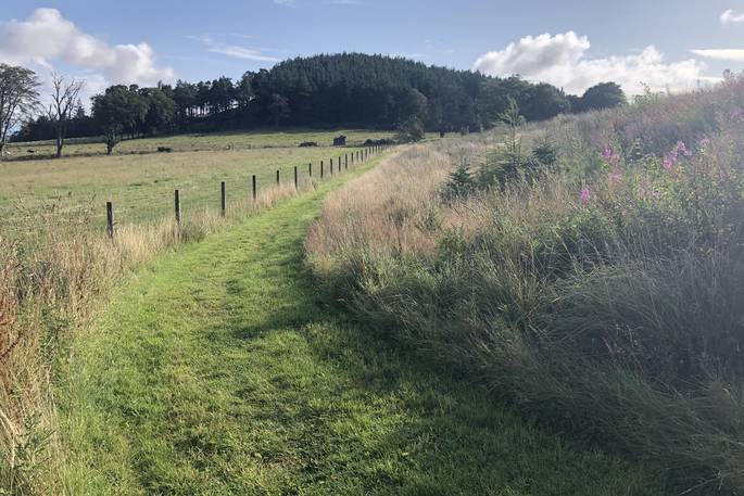 Bramble Yurt at Alexander House, Auchterarder, Perth & Kinross, Scotland (2)