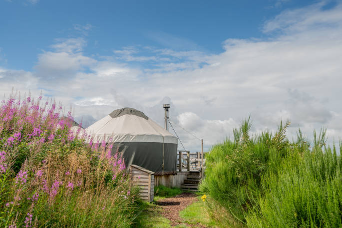 Bramble Yurt at Alexander House, Auchterarder, Perth & Kinross, Scotland (20)