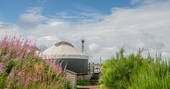Bramble Yurt at Alexander House, Auchterarder, Perth & Kinross, Scotland (20)