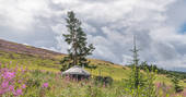 Bramble Yurt at Alexander House, Auchterarder, Perth & Kinross, Scotland (21)