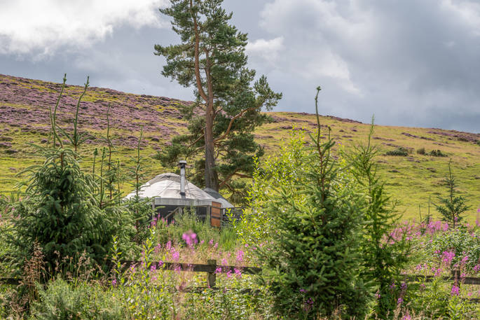 Bramble Yurt at Alexander House, Auchterarder, Perth & Kinross, Scotland (23)