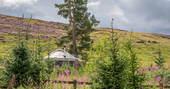 Bramble Yurt at Alexander House, Auchterarder, Perth & Kinross, Scotland (23)
