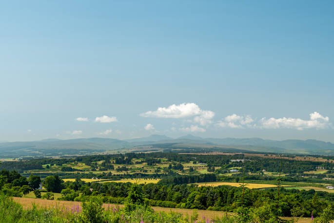 Heather Yurt, Alexander House, Auchterarder, Perth & Kinross, Scotland (23)