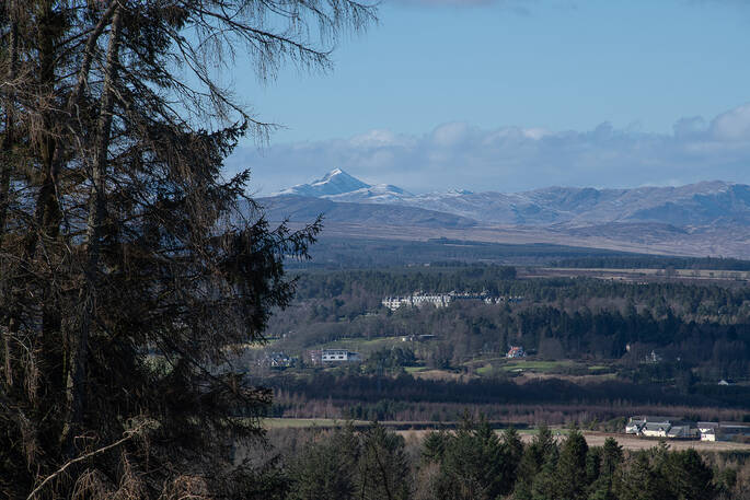 Thistle Views
