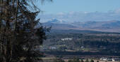 Thistle Views