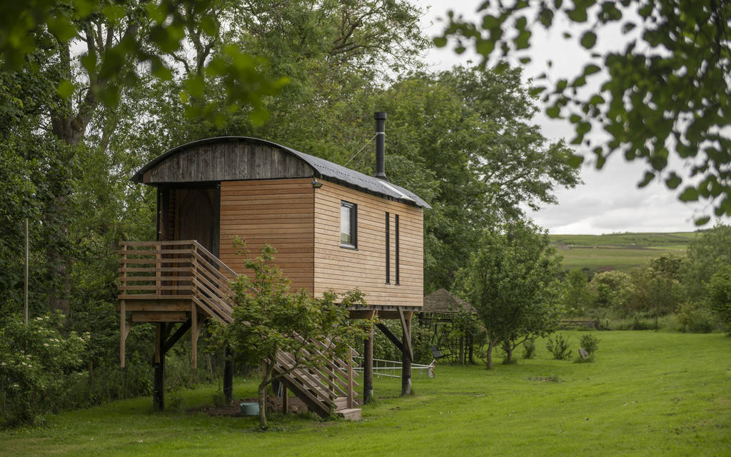 Stilt House Treehouse in Scottish Borders Canopy & Stars