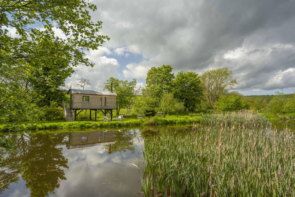 Stilt House Treehouse in Scottish Borders Canopy & Stars