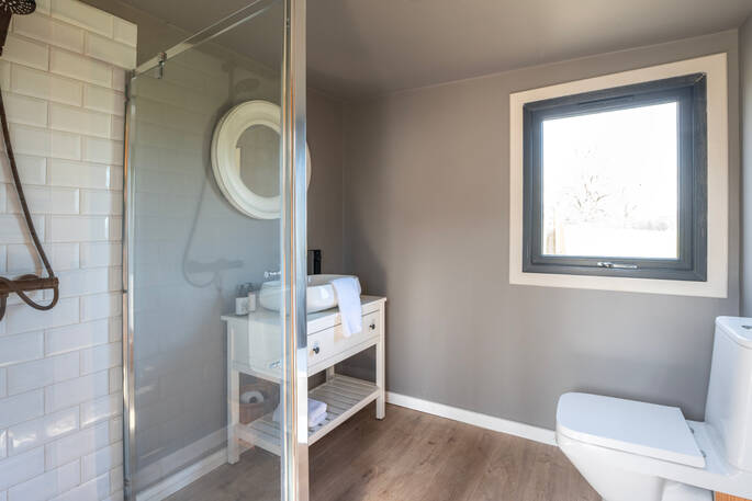 Sink and flushing toilet