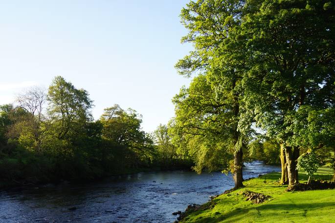 Treehouses at Lanrick river at surrounding area, Doune, Stirling, Scotland