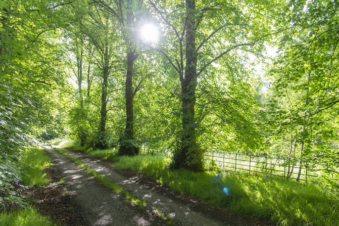 Treehouses at Lanrick walks, Doune, Stirling, Scotland