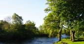 Treehouses at Lanrick river at surrounding area, Doune, Stirling, Scotland