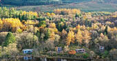 Cabin & neighbouring cabins 