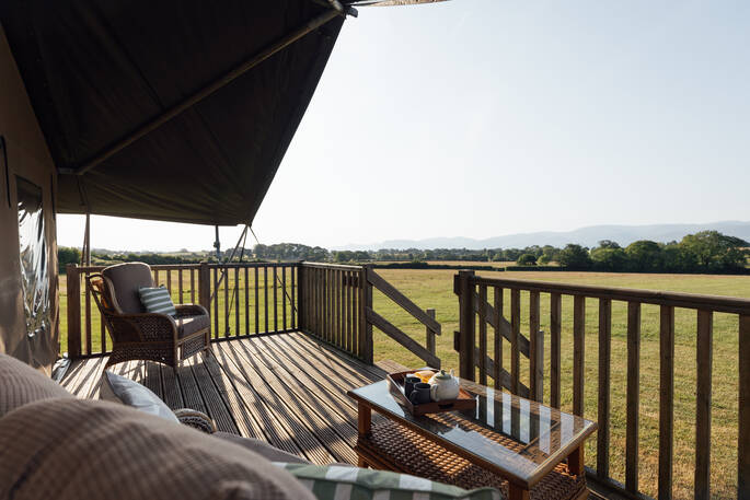 view from the decking