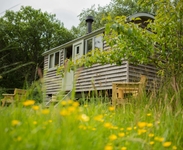 Gwdihŵ at Tŷ Cerrig