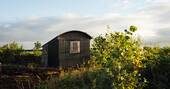 sunset at Caban Fawr