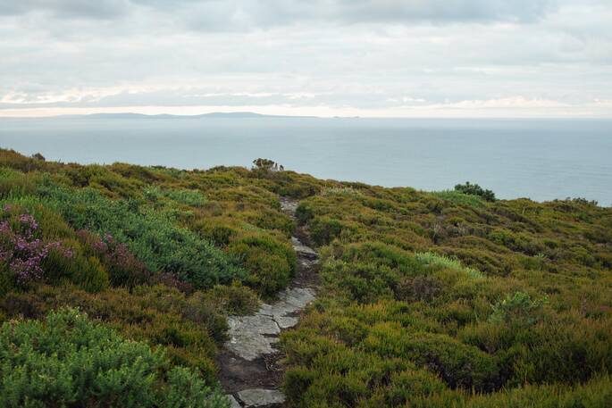 Surrounding paths