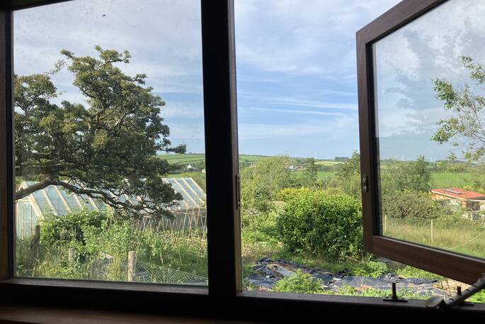 View from the window