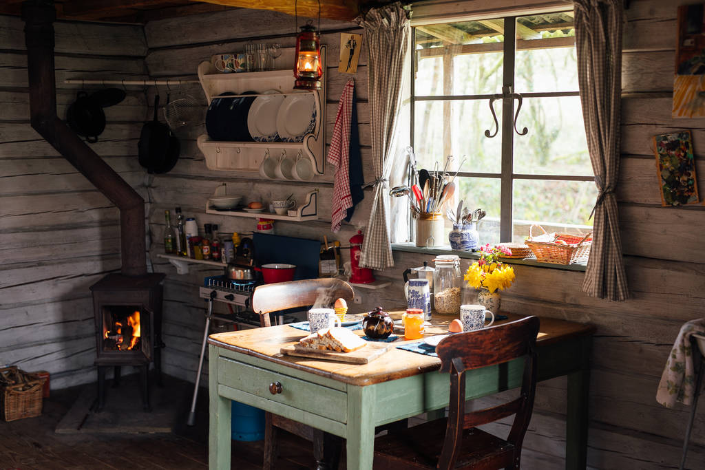 The Log House Studio Cabin in Carmarthenshire Canopy & Stars