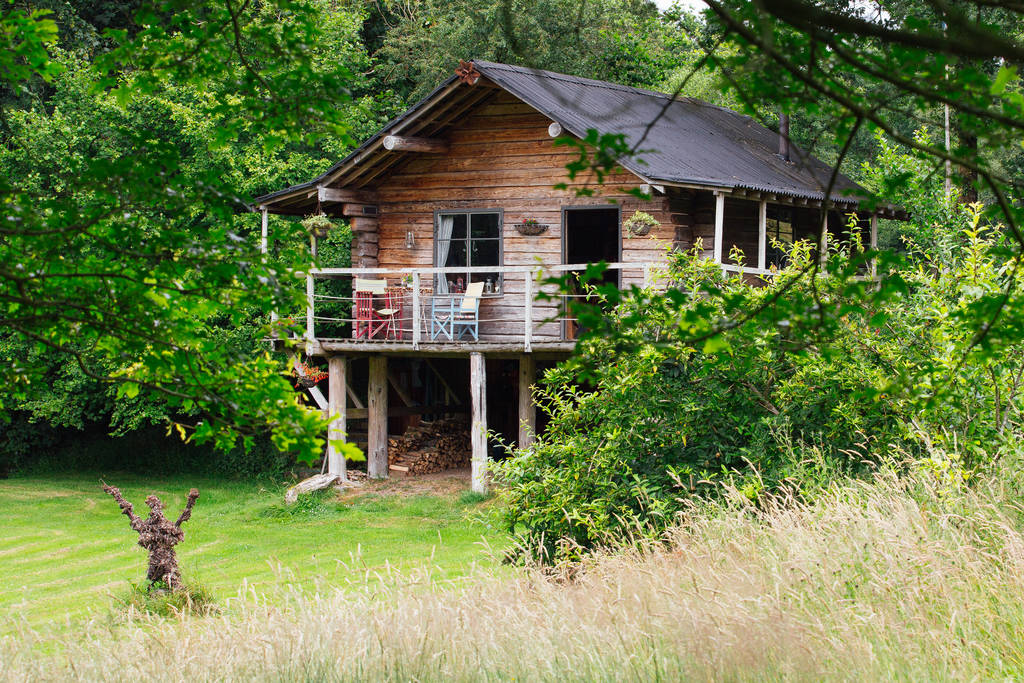 The Log House Studio Cabin in Carmarthenshire Canopy & Stars