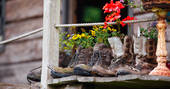 Flowers growing out of boots at The Log House Studio in Carmarthenshire