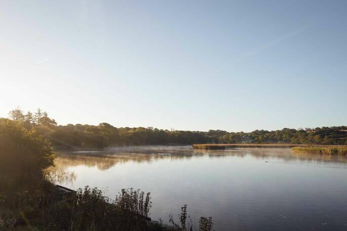 River Teifi by the site