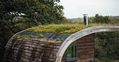 Organic roof