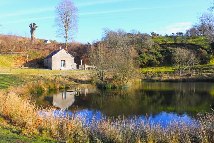 The Little Cowshed barn wildlife pond, Lampeter, Ceredigion, Wales